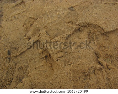 footprints in the sand, wet sand, foreboding