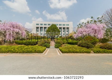 Large white brick building behind manicured tree framed by two beautiful cherry blossom trees and lush evergreen garden  