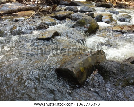 
The stream in forest. Royalty high quality free stock image of stream in forest with dry tree, stone and nobody