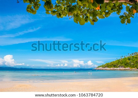 Bright blue sea and soft white sand beach on summer sunny day with branches of Pacific Rosewood tree. Tropical beach under clear blue sky with white clouds at Racha or Raya island, Phuket, Thailand.