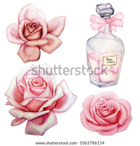 Hand painted elements set. Watercolor botanical illustration of pink rose flowers and cosmetics. Objects isolated on white background.