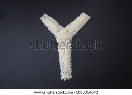 the uppercase _ letter Y formed with rice grains