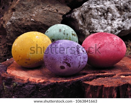 The Easter eggs 
