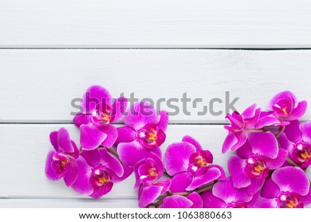 Orchid and spa stones on a stone background. Spa and wellnes scene.