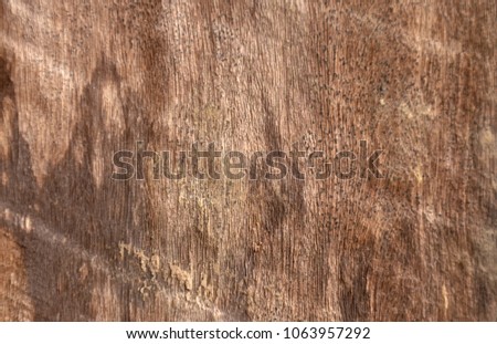 wood texture,  background old panels