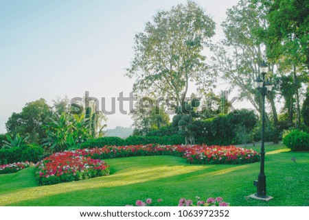 flower garden in north of Thailand, landscaped garden with flowerbed and colorful plants