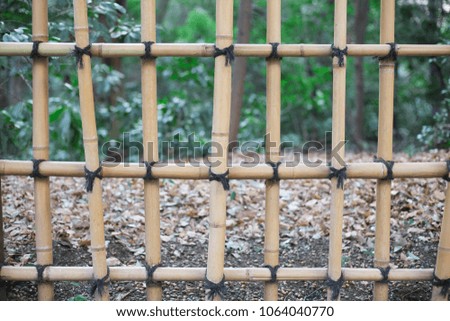 The yellow wood is cut into a fence. The picture is perfect for background or text. Wood from nature.