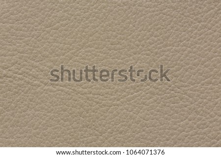 Ideal clean leather texture in white colour. High resolution photo.