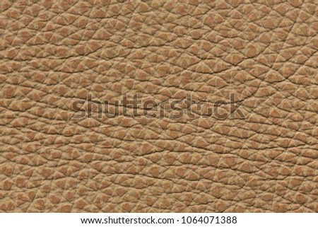 Simple light brown leather texture. High resolution photo.