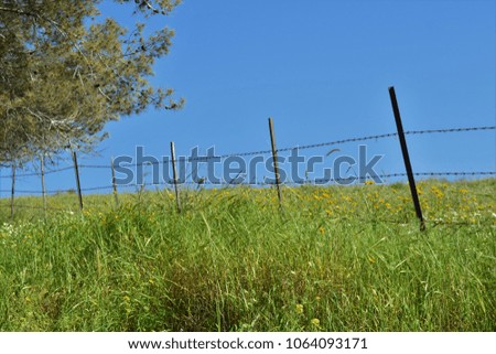 A fence next to a field in Israel