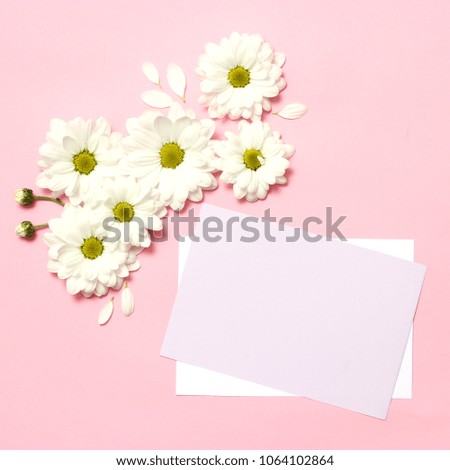 floral composition on a pastel background with space for text. minimalism, blank for design, top view. Birthday, Mother's Day, Holiday, Spring, March 8. flat lay