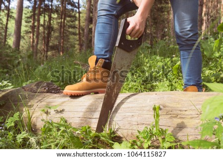 A person with a handsaw sawing a fallen tree in the forest. Adventures in the wild.