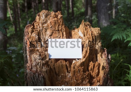 Creative layout with a business card on a tree stump in the summer. Adventures in the wild.