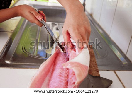 Female hands are cutting fish.