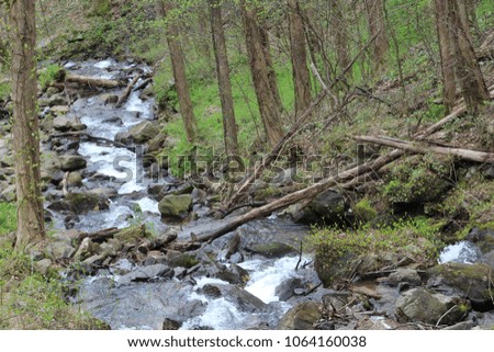 Mountain stream in woodlands.
