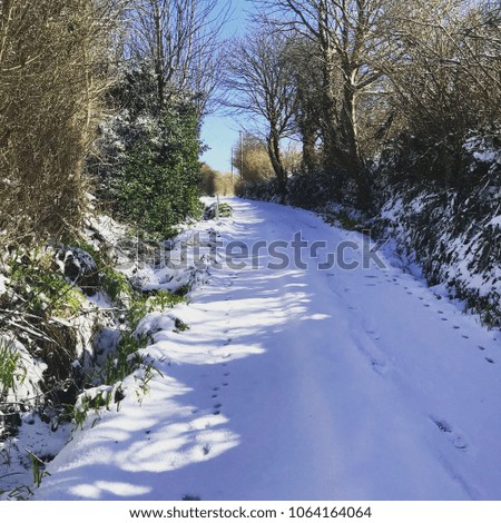 Ireland, snow covered back road