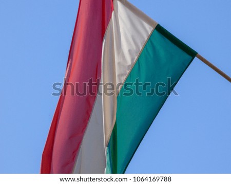 Hungarian national waving flag red white green