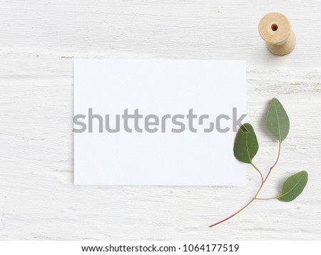 Feminine wedding desktop mock-up with blank paper card, wooden spool and Eucalyptus populus branch on  white shabby table background. Empty space. Styled stock photo, web banner. Flat lay, top view.