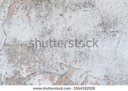 The old,white, grey grunge concrete texture or background. Copy space. graphical resource