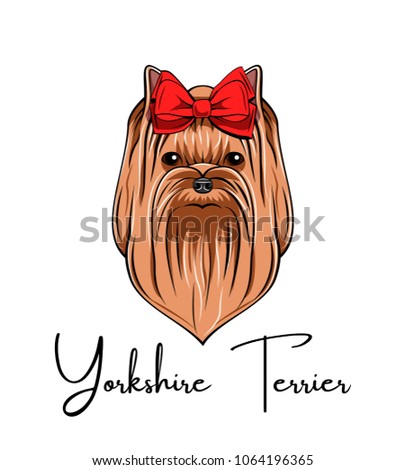 Yorkshire terrier portrait. Red Bow. Dog breed. Dog head face. Vector illustration