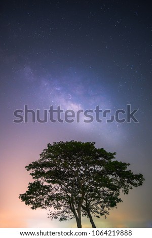 Two trees at night with milky way background