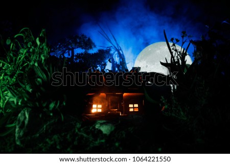 Fantasy decorated photo. Small beautiful house in grass with light. Old house in forest at night with moon. Dark foggy lighted background. Selective focus
