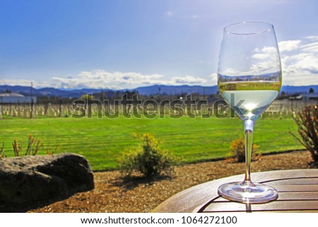 Glass with white wine on the wooden table with beautiful countryside in the background - green grass ,vineyards and mountains on a sunny day