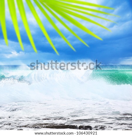 Paradise beach, beautiful nature, seascape with high surfing waves and palm tree branch, summertime vacation concept