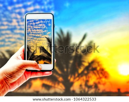 Hand taking a photo of Colorful sky clouds and shadow tree with sunset light | smartphone shooting and blurred nature background