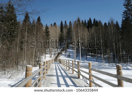 wooden pavement in the Park in winter
