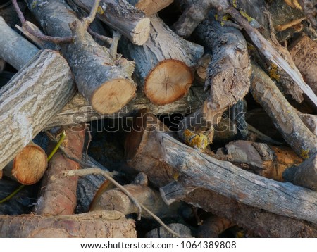 A large pile of firewood on the street ready to fire