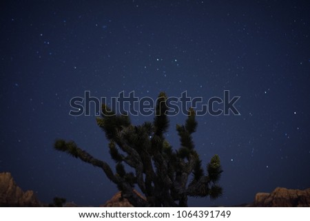 Joshua Tree Desert Starry Night Sky Time Lapse 