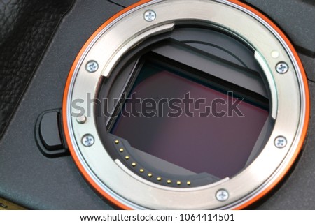 Digital mirrorless camera full frame sensor, macro shot