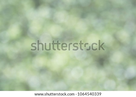Blurred Nature background with vintage filter