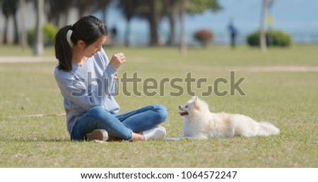 Woman taking photo on her dog at outdoor park 