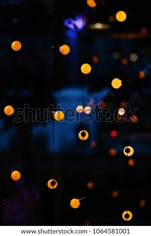 Decorative outdoor lights hanging  in the garden at night