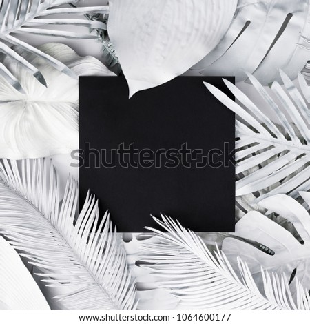 Tropical and palm leaves in white color with black copy space. Concept art. Minimal surrealism background.