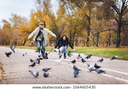 An original elderly man and his pretty daughter have fun skating on roller skates in autumn park. People spreading hands. People and pigeons.