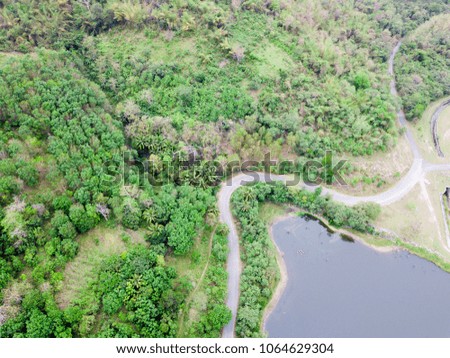 Green forest top view from drone