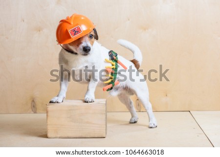 Funny builder wearing toolbelt and hardhat at construction site Royalty-Free Stock Photo #1064663018