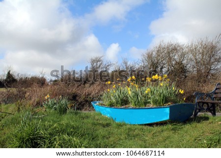 Blue Boat with yellow tulips beside park bench