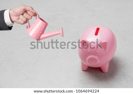 Piggy bank pink color filled with coins on concrete background.Watering can and money tree drawn concept for business investment.