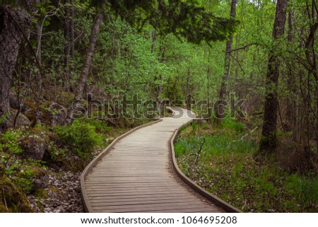The wooden path leading through a green forest.  View on tourist wooden pathway among trees and grass. Beautiful Swedish Scandinavian nature. Well-handled trail for peoples' strolls in the forest. Royalty-Free Stock Photo #1064695208