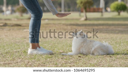 Woman train on her pomeranian dog at park 