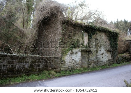 Broken down stone cottage in the woods