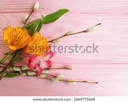 alstroemeria willow on a pink wooden background