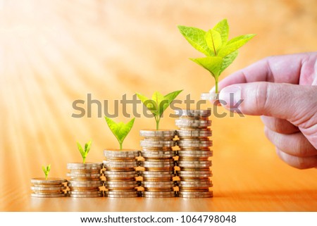 Investor hand hold a coin with plant growing on the top and stack gold coin put on the desk in the office, Turnover of business investment and saving money for growth concept.