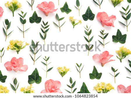 Frame with colorful flowers and green leaves on white background.