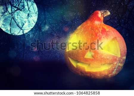 Halloween Pumpkin In A Mystic Forest At Night