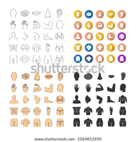 Human body parts icons set. Anatomy. Healthcare. Linear, flat design, color and glyph styles. isolated vector illustrations